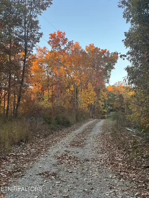 27 42 Ac Black Mountain Road Rd, Tellico Plains, TN 37385