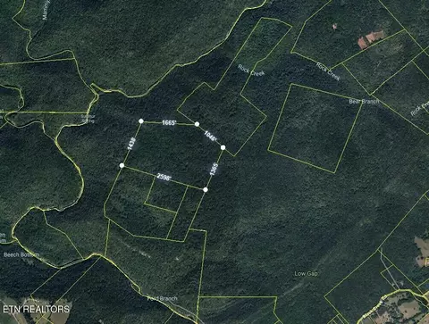 County Line, Rockwood, TN 37854