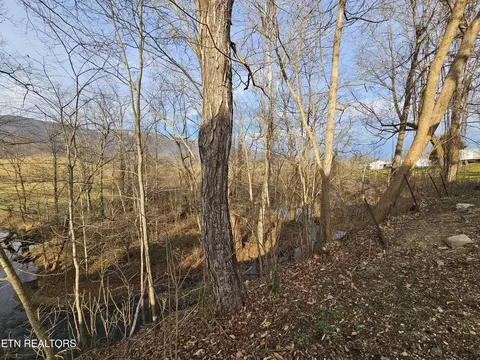 Exterior - 125 Dexter Dr, Ewing, VA 24248 photo 6 of 8