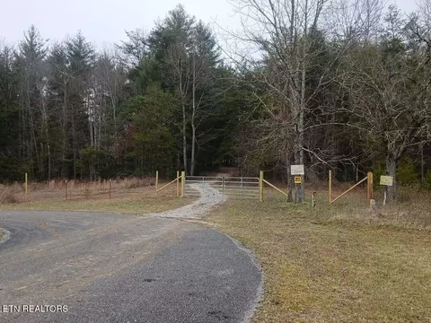 Wild Magnolia, Jamestown, TN 38556