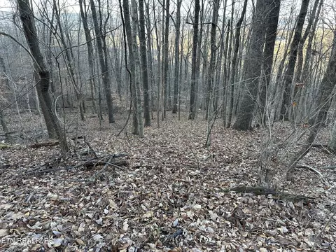 00 Fox Ridge Rd, Pikeville, TN 37367