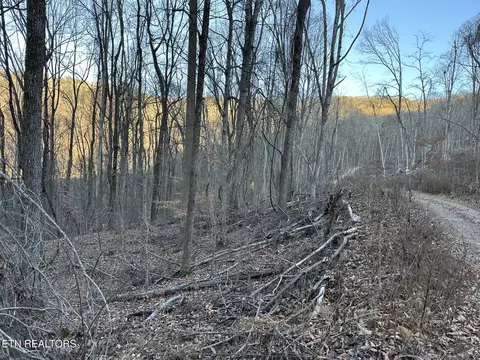 00 Stone Ridge Rd, Pikeville, TN 37367