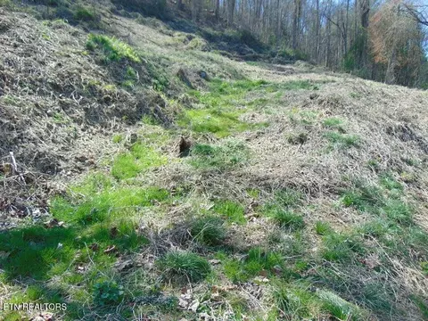 0 Walnut Ln #0, Pineville, KY 40977