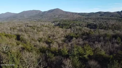Cooper Hollow Rd, Tellico Plains, TN 37385