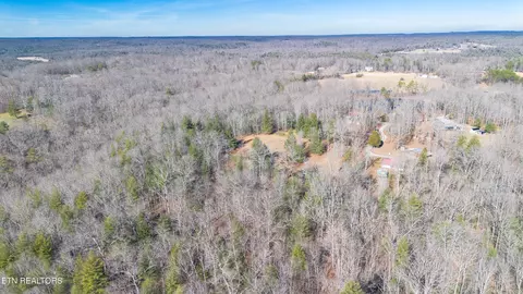 View/Area - 179 Human Dr, Lancing, TN 37770 photo 10 of 18