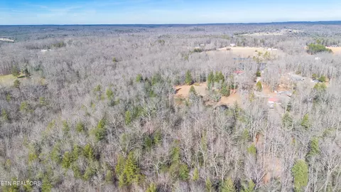 View/Area - 179 Human Dr, Lancing, TN 37770 photo 11 of 18