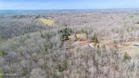 View/Area - 179 Human Dr, Lancing, TN 37770 photo 5 of 18