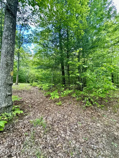 Other - 179 Human Dr, Lancing, TN 37770 photo 6 of 13