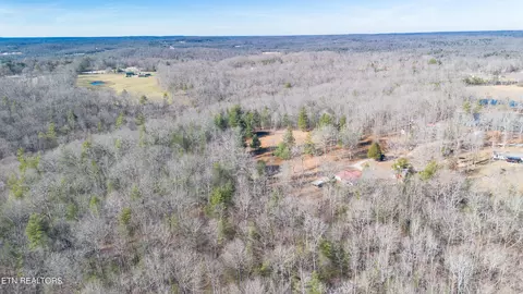 View/Area - 179 Human Dr, Lancing, TN 37770 photo 6 of 18