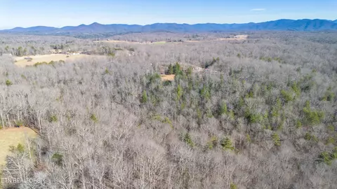 Other - 179 Human Dr, Lancing, TN 37770 photo 7 of 13