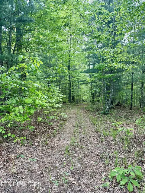 Other - 179 Human Dr, Lancing, TN 37770 photo 5 of 13