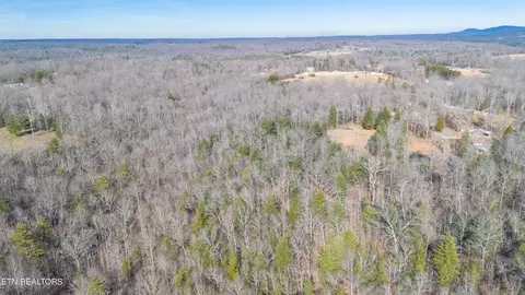 View/Area - 179 Human Dr, Lancing, TN 37770 photo 12 of 18