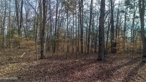 Tract 5 Armstrong Drive, Dandridge, TN 37725