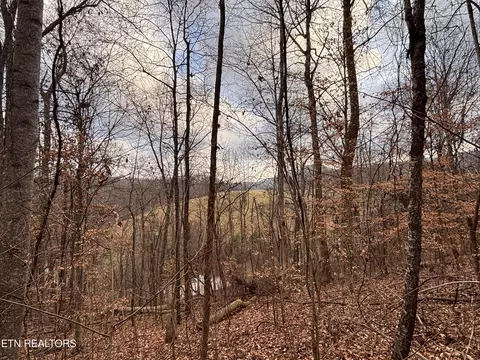 Mcgaha Hollow Rd, Dandridge, TN 37725