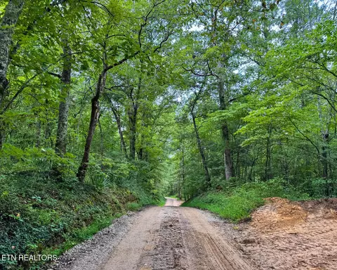 Sheep Ranch Rd., Robbins, TN 37852