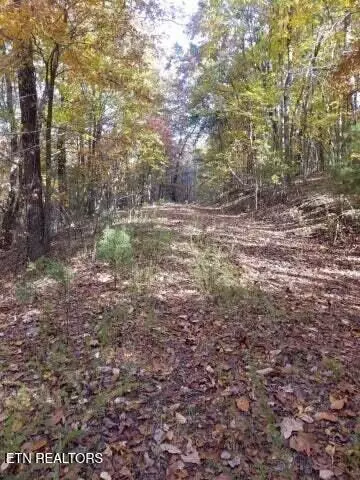00 Tammy Trl, Spring City, TN 37381