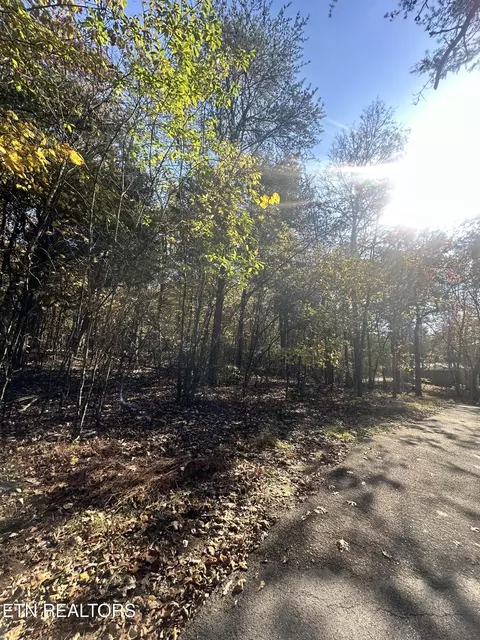 656 Bluegreen Way, Tazewell, TN 37879