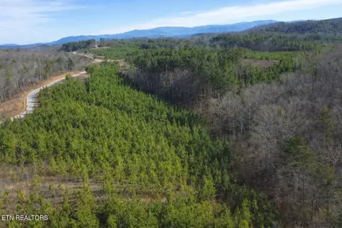 Saddleback Dr, Vonore, TN 37885 photo 5