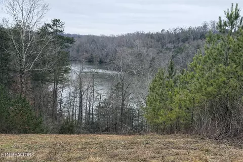 Saddleback Dr, Vonore, TN 37885 photo 3