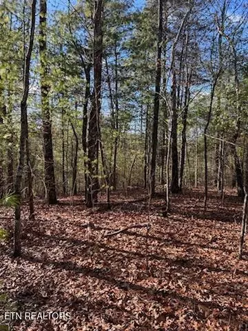 000 Towee Falls Rd, Tellico Plains, TN 37385