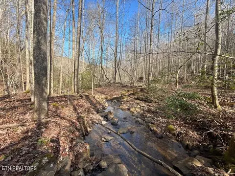 0 Deerhead Rd, Dunlap, TN 37327 photo 23
