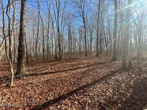0 Deerhead Rd, Dunlap, TN 37327 photo 15