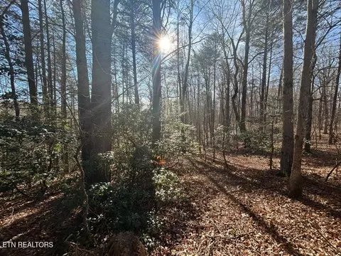 0 Deerhead Rd, Dunlap, TN 37327 photo 19