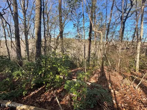 0 Deerhead Rd, Dunlap, TN 37327 photo 18