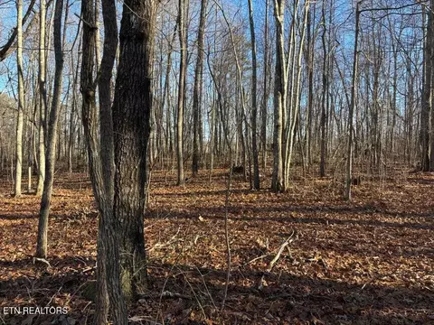 0 Deerhead Rd, Dunlap, TN 37327 photo 9