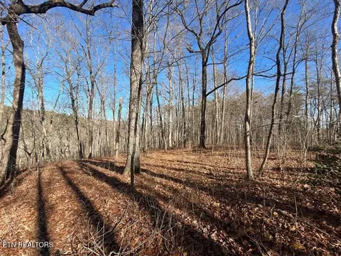 0 Deerhead Rd, Dunlap, TN 37327 photo 16