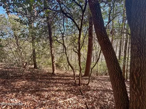 0 Deerhead Rd, Dunlap, TN 37327 photo 20