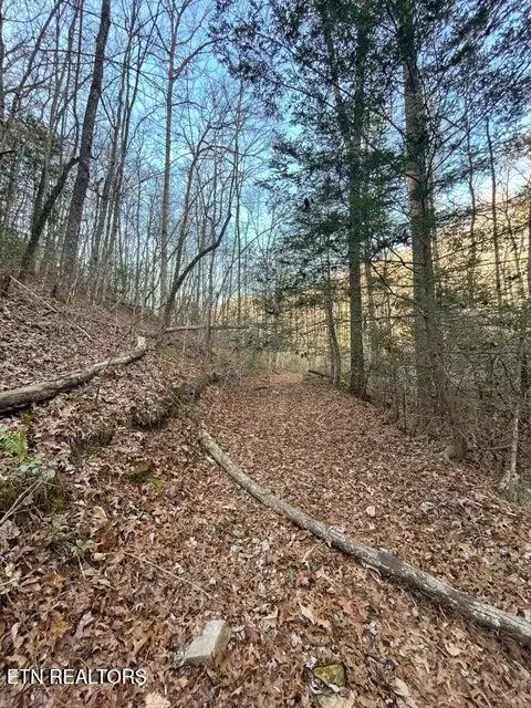 0 Deerhead Rd, Dunlap, TN 37327 photo 27