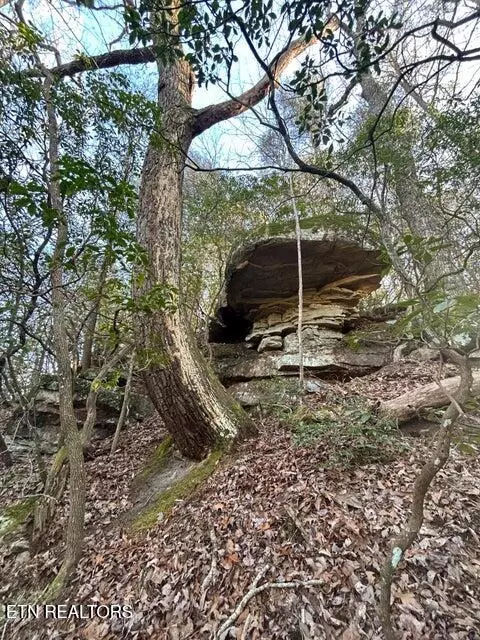 0 Deerhead Rd, Dunlap, TN 37327 photo 2