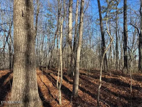 0 Deerhead Rd, Dunlap, TN 37327 photo 8