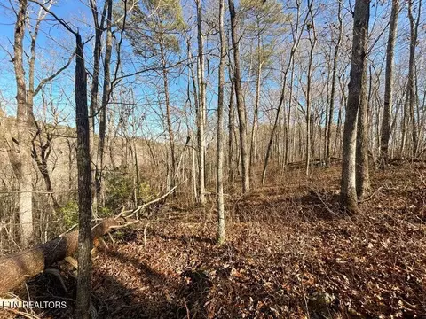 0 Deerhead Rd, Dunlap, TN 37327 photo 14