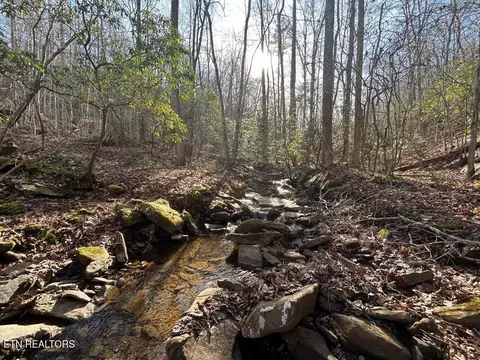 0 Deerhead Rd, Dunlap, TN 37327 photo 24