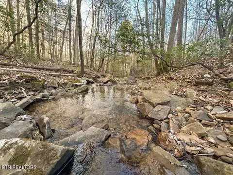 0 Deerhead Rd, Dunlap, TN 37327 photo 3