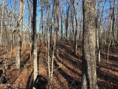 0 Deerhead Rd, Dunlap, TN 37327 photo 7