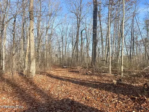 0 Deerhead Rd, Dunlap, TN 37327 photo 28