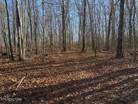 0 Deerhead Rd, Dunlap, TN 37327 photo 21