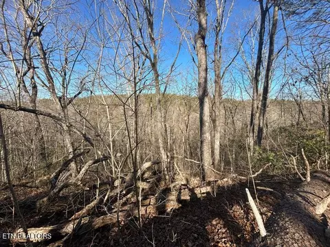 0 Deerhead Rd, Dunlap, TN 37327 photo 13