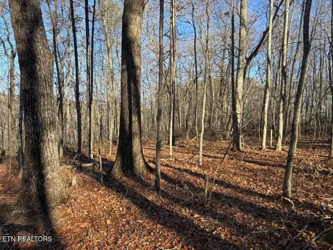 0 Deerhead Rd, Dunlap, TN 37327 photo 5