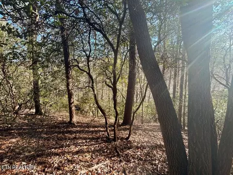 0 Deerhead Rd, Dunlap, TN 37327 photo 6