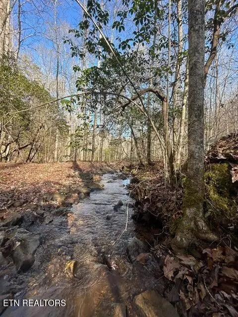 0 Deerhead Rd, Dunlap, TN 37327 photo 22
