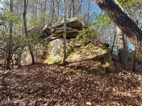 0 Deerhead Rd, Dunlap, TN 37327 photo 4