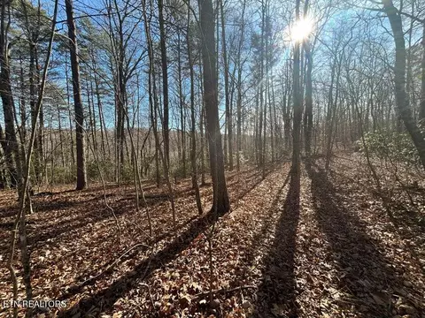 0 Deerhead Rd, Dunlap, TN 37327 photo 17