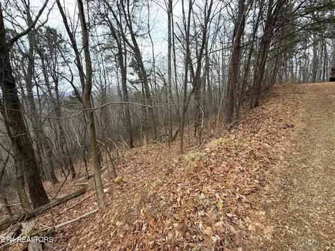 1 01 Ac Green Forest Rd, Cosby, TN 37722