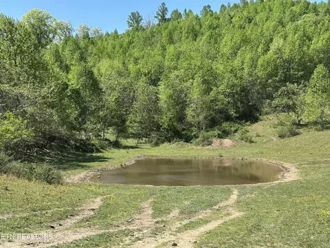 933 Frog Level Rd, Harrogate, TN 37752 photo 15