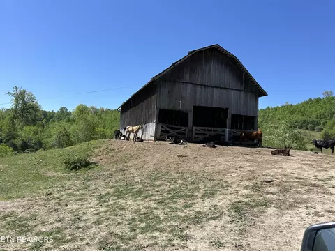 933 Frog Level Rd, Harrogate, TN 37752 photo 12