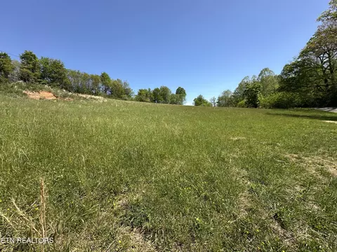 933 Frog Level Rd, Harrogate, TN 37752 photo 18